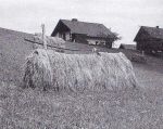 Maritschnik: Steirisches Mundart Wörterbuch