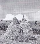 Maritschnik: Steirisches Mundart Wörterbuch